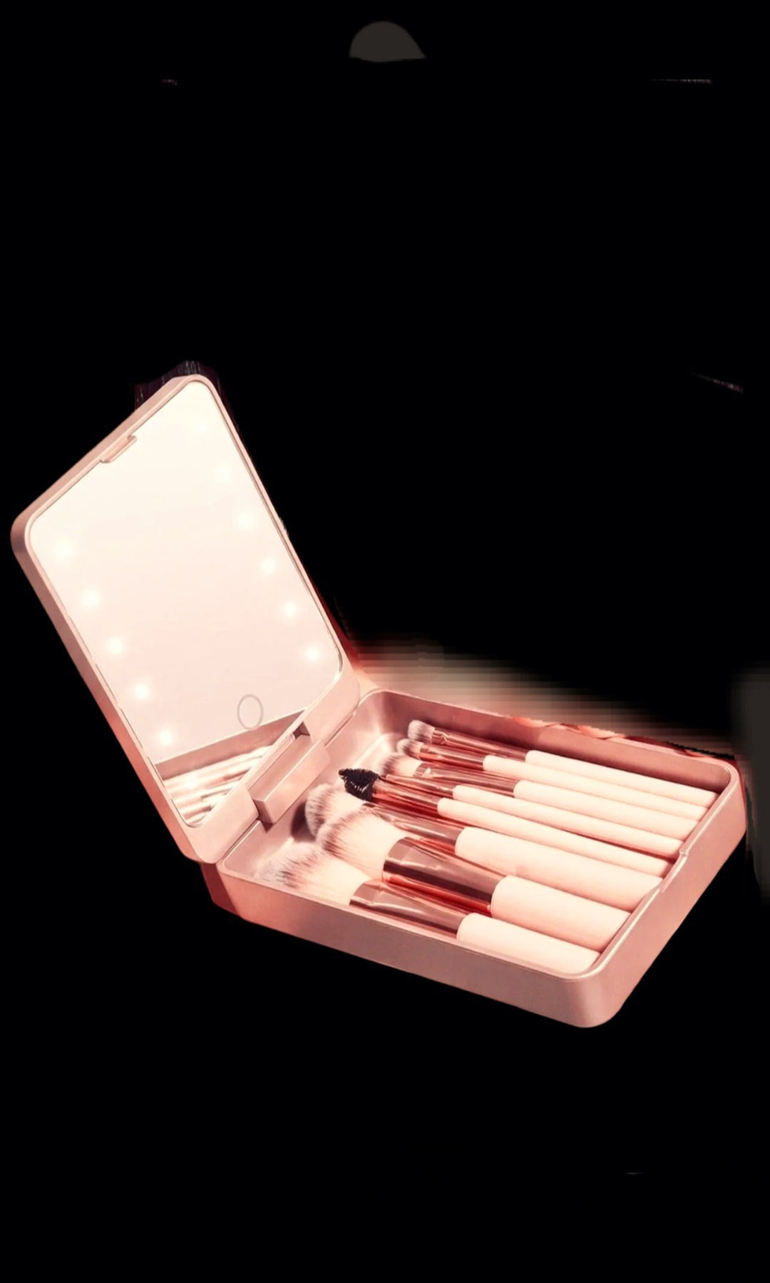 Led Lightup Makeup Brush & Case